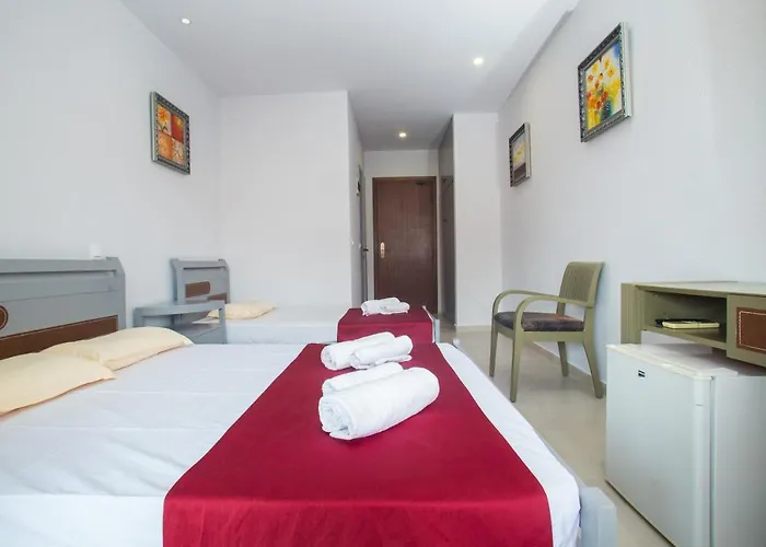 Litus Oliva 3* Pefkochori